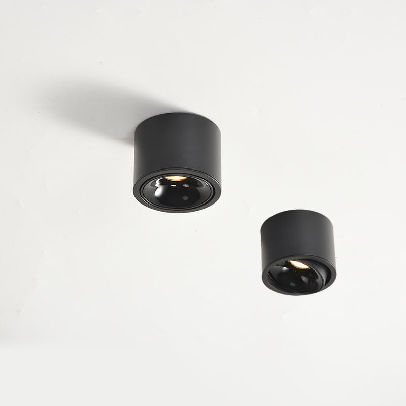 Renma Round Ceiling Light