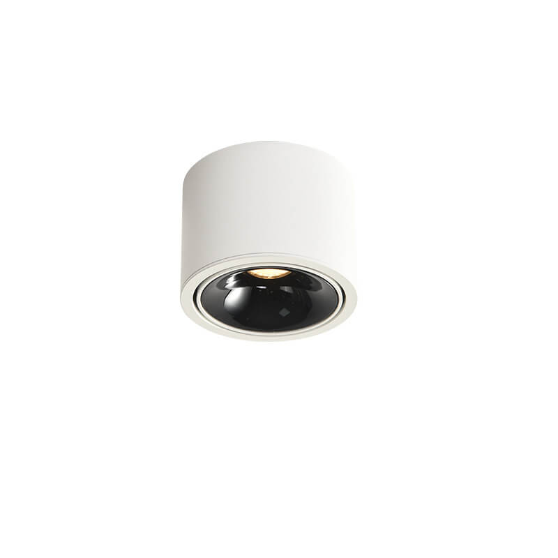 Renma Round Ceiling Light