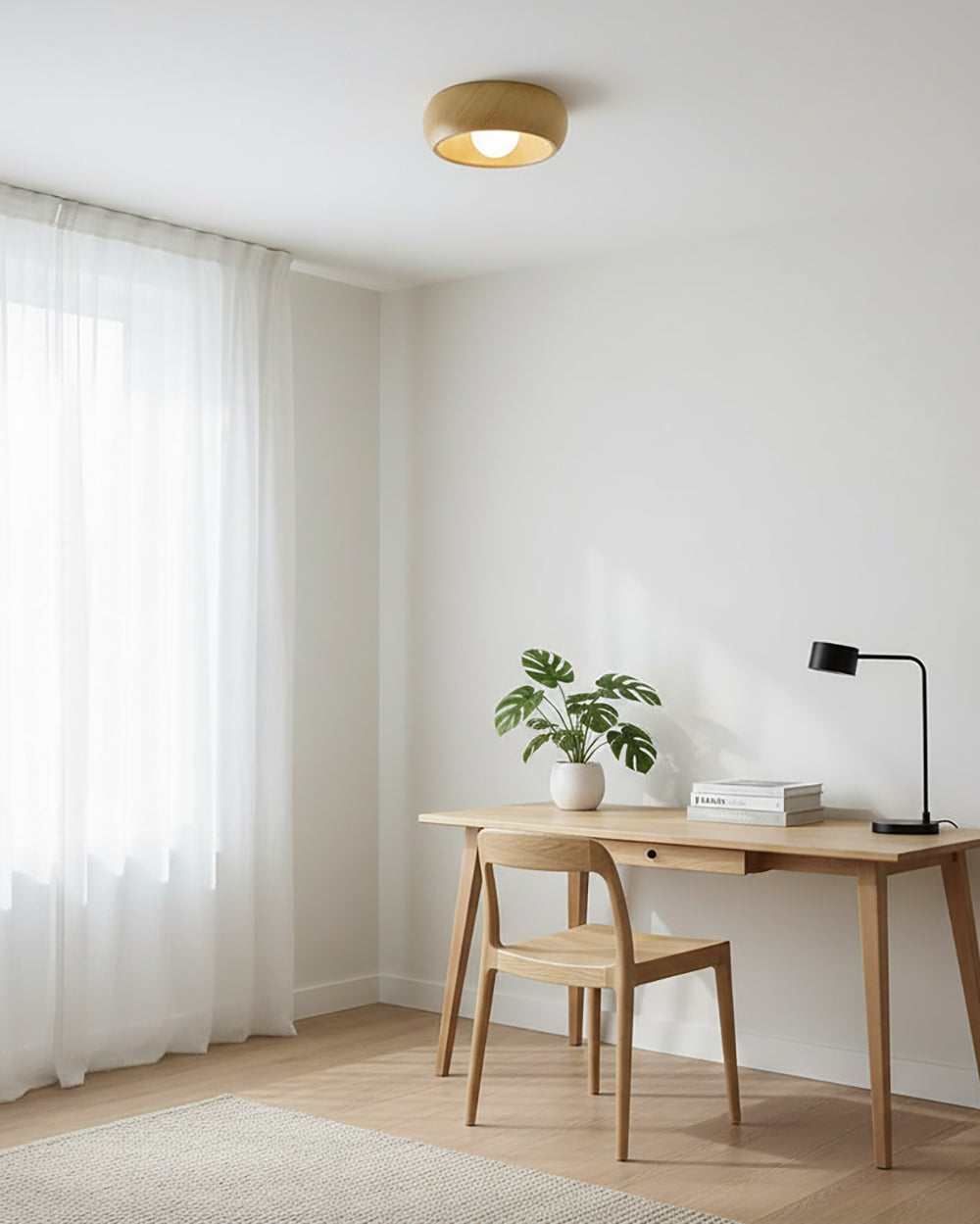 Sollynum Ceiling Light
