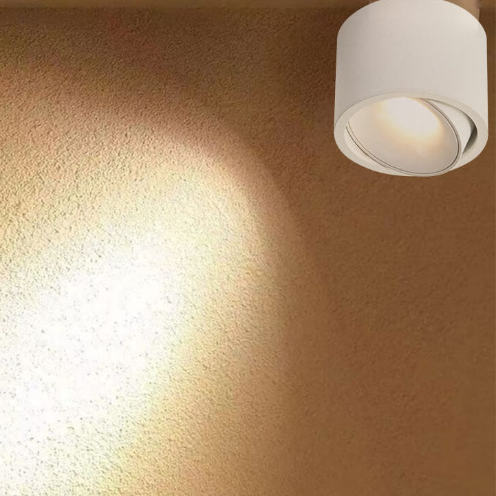 Renma Round Ceiling Light