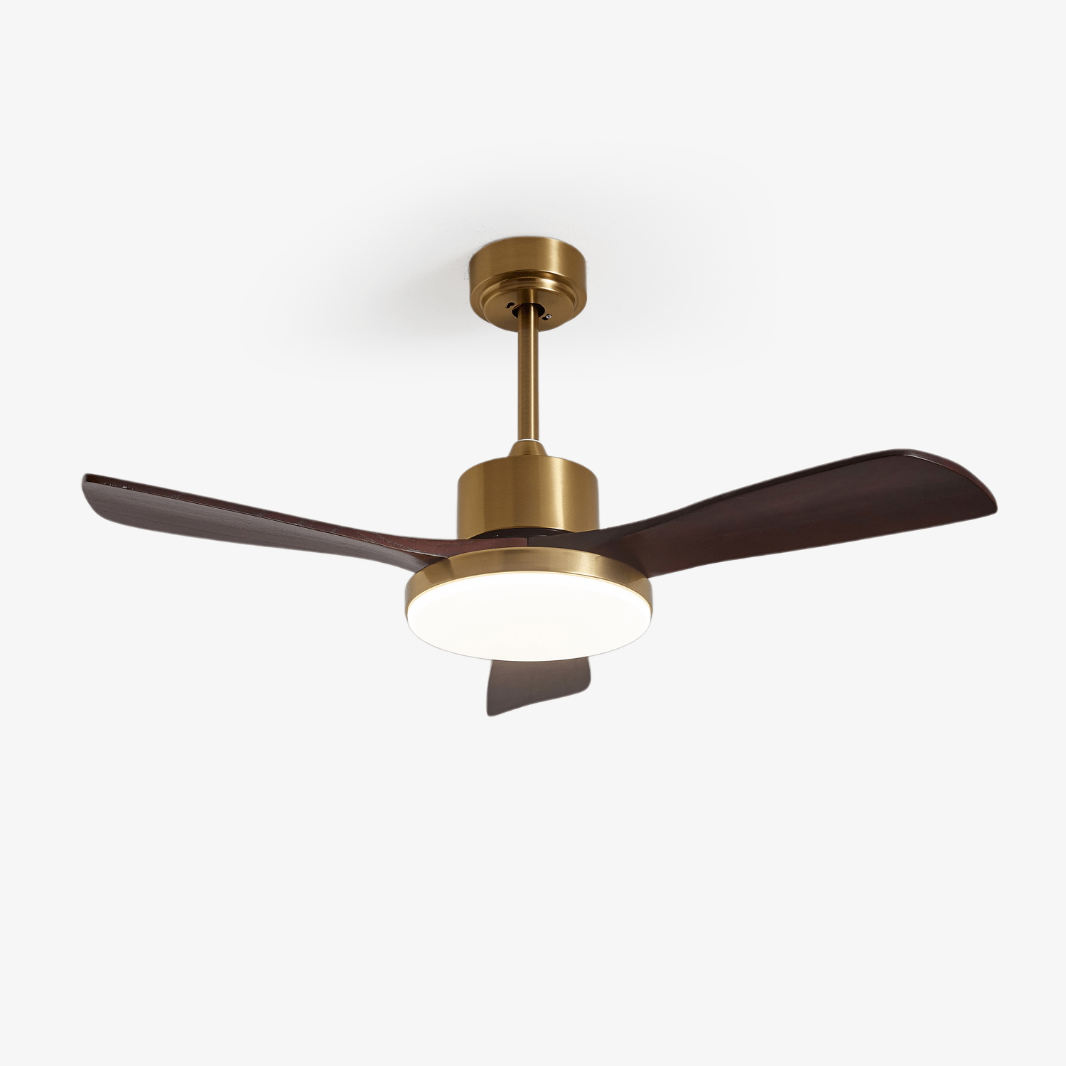 Virova Ceiling Fan Light