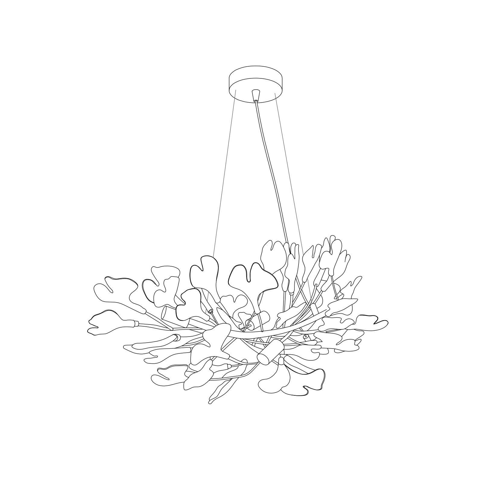 Paxor Chandelier