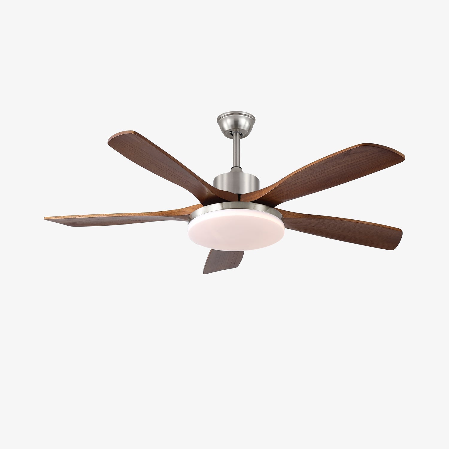 Renelum Ceiling Fan Light