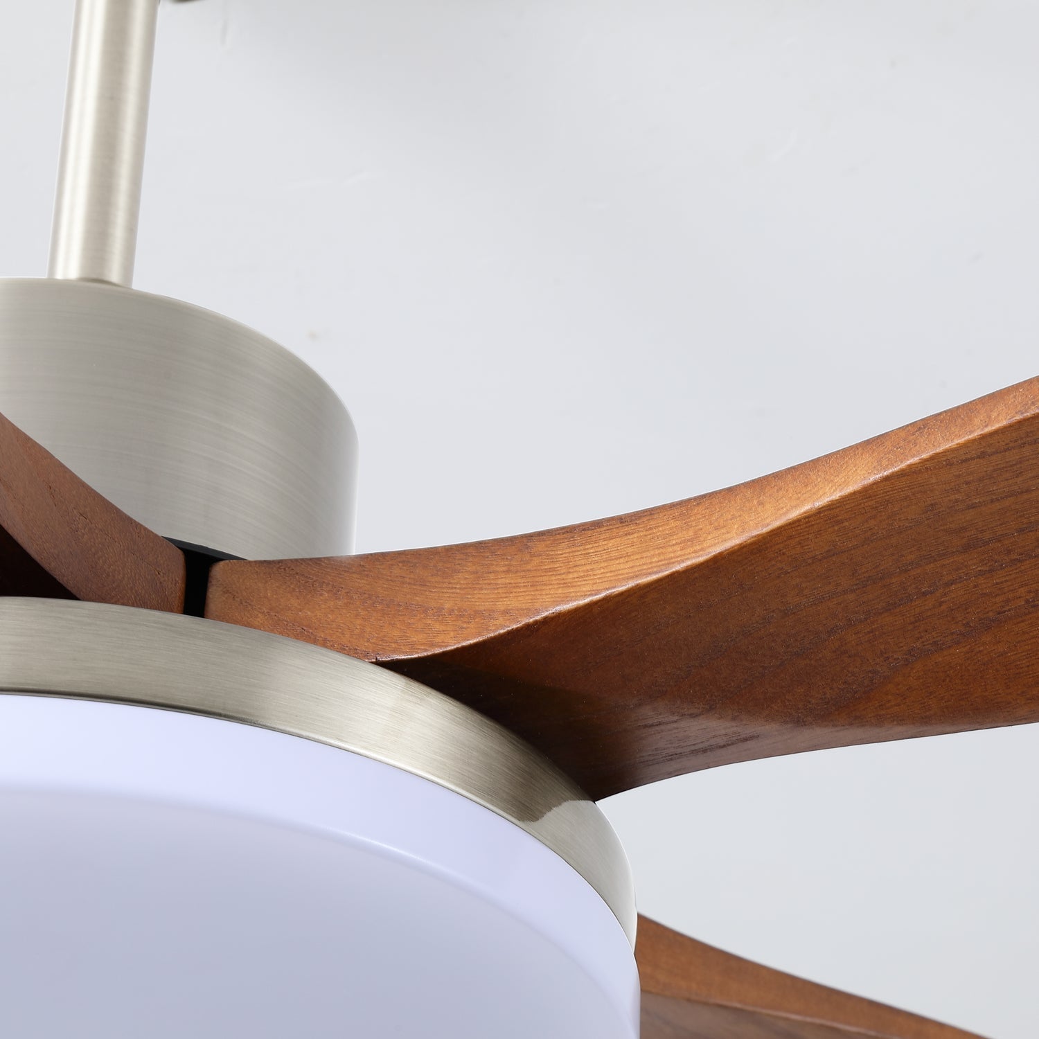 Renelum Ceiling Fan Light