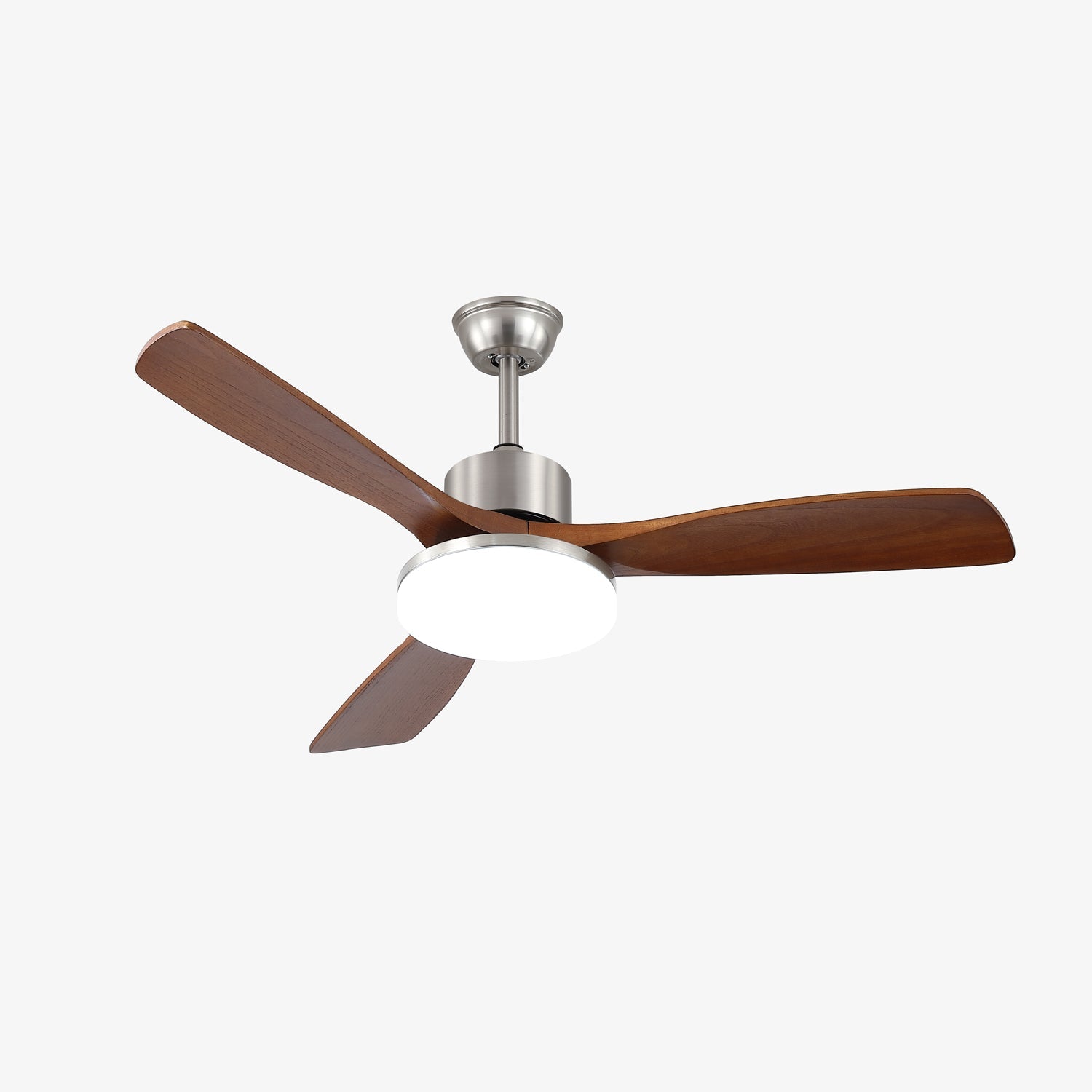 Renelum Ceiling Fan Light