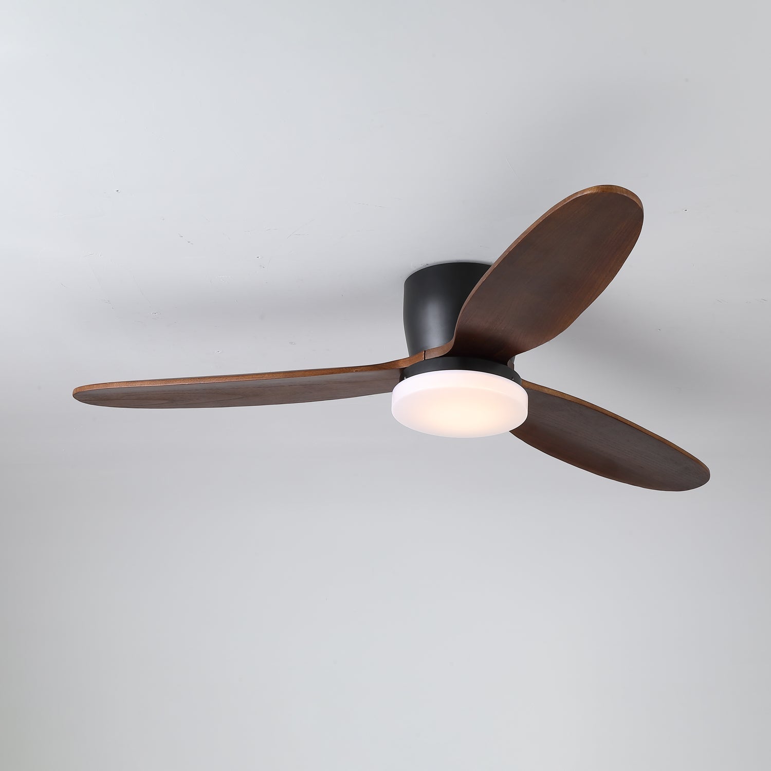 Evenlor Ceiling Fan Light