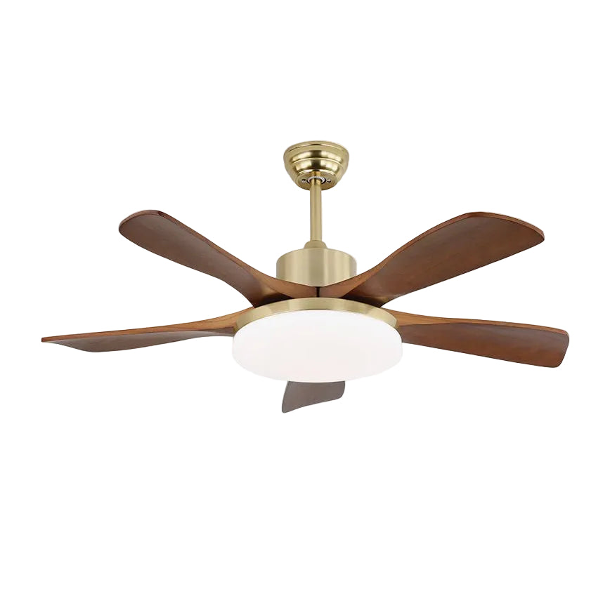 Zelon Ceiling Fan Light