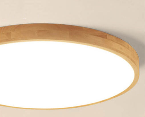 Casralen Outdoor Ceiling Light