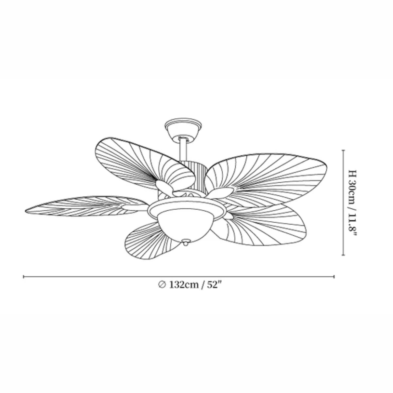 Jorlyn Ceiling Fan Light