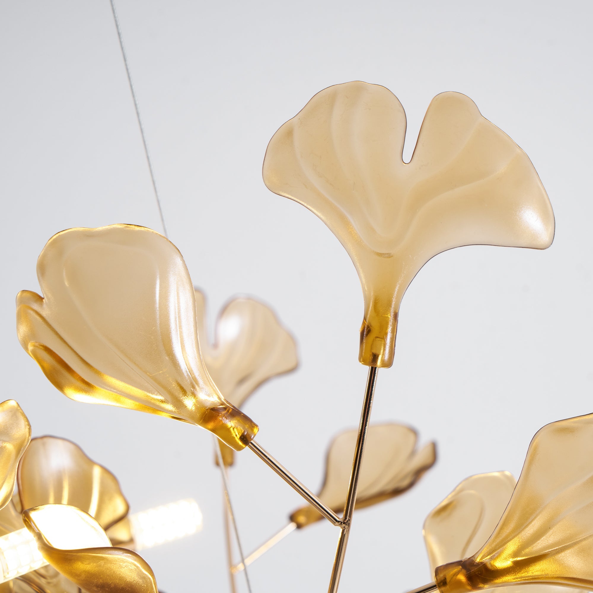 Paxario Chandelier