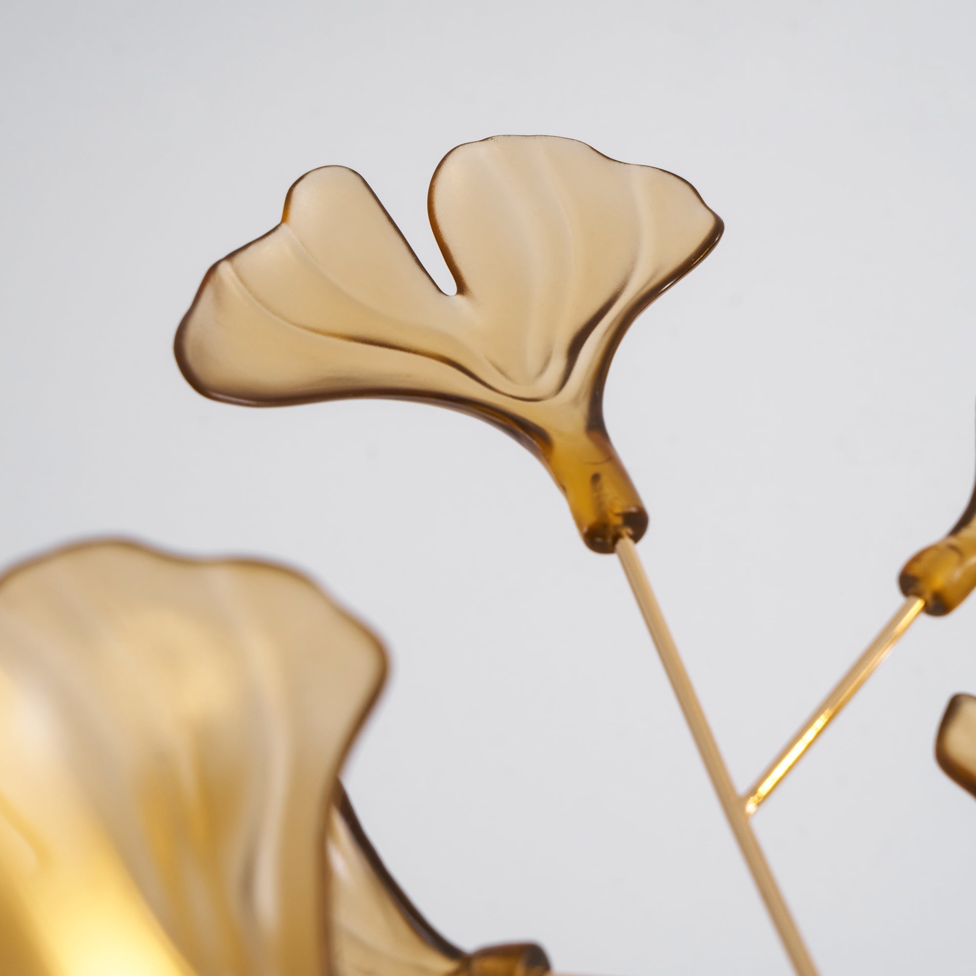 Paxario Chandelier