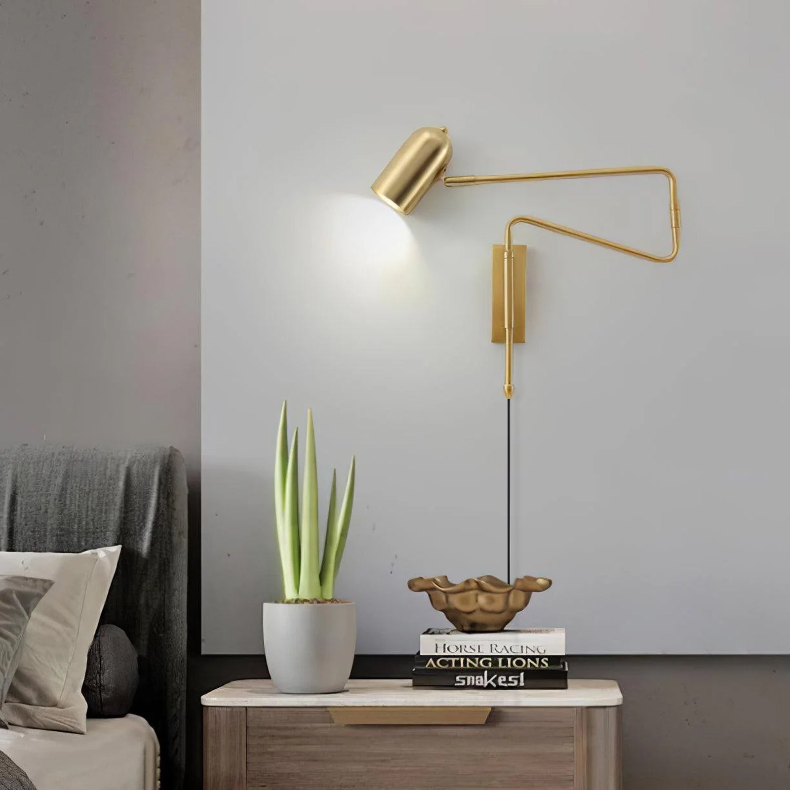 Paxdenko Adjustable Wall Light