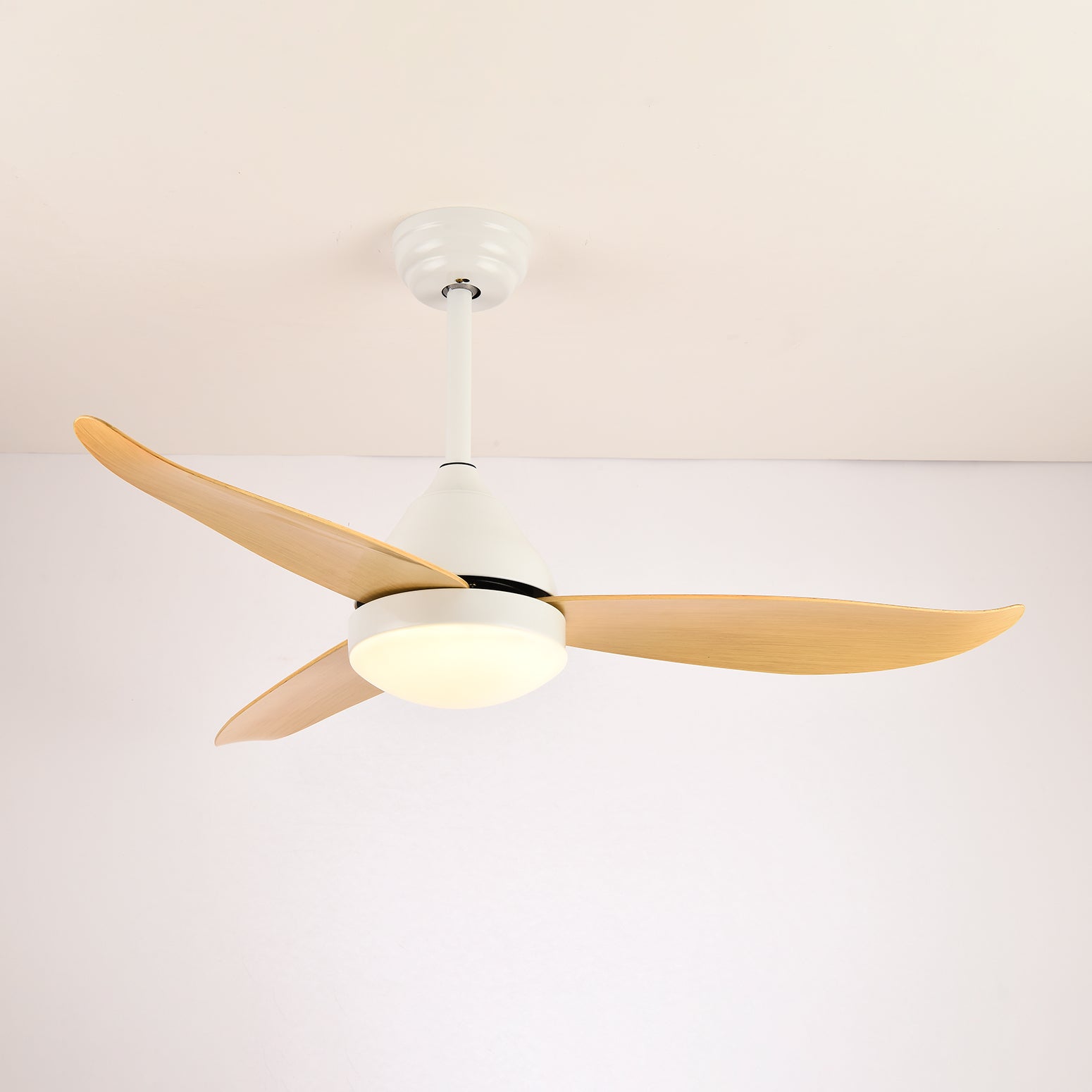 Emil Ceiling Fan Light