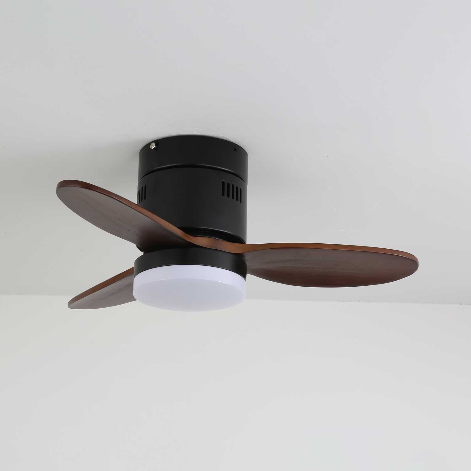 Viroayan Ceiling Fan Light