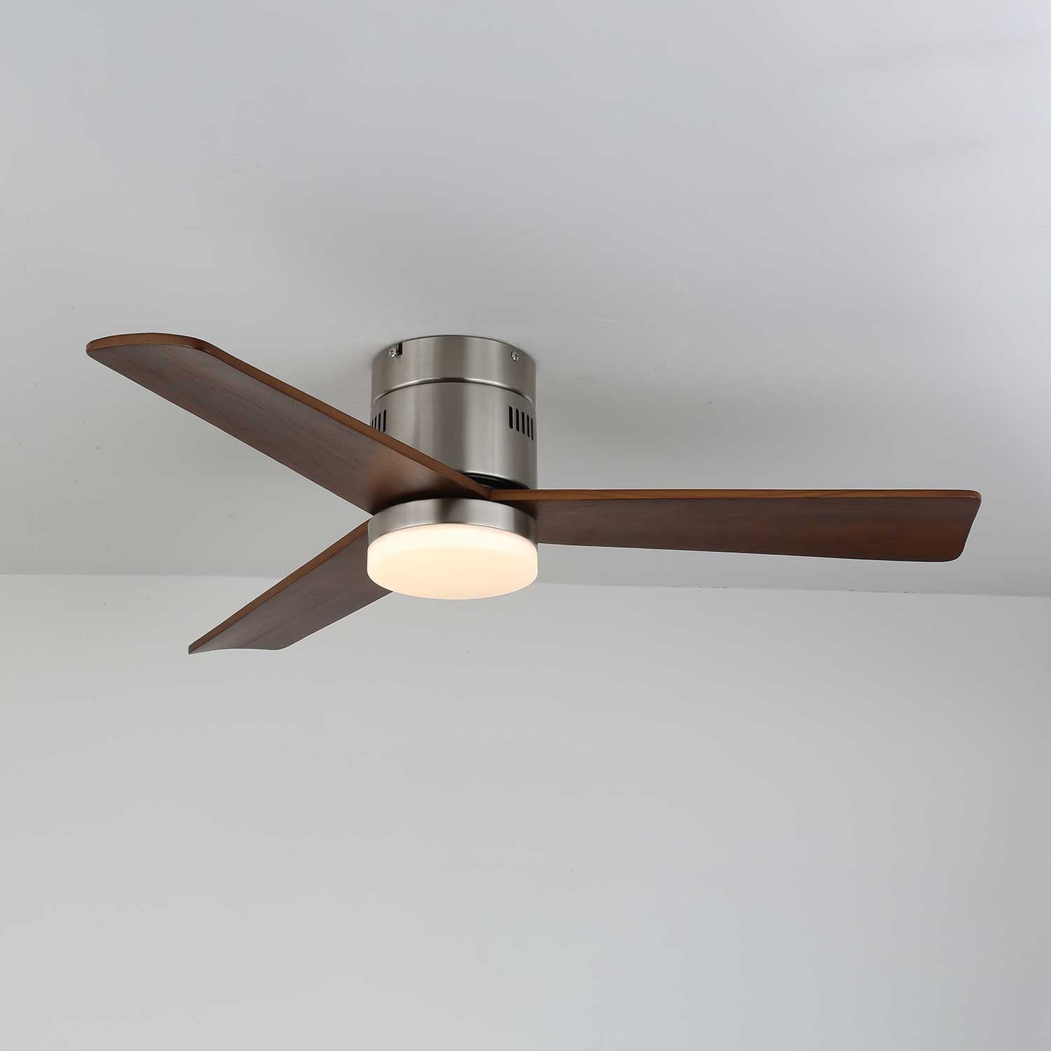 Viroayan Ceiling Fan Light