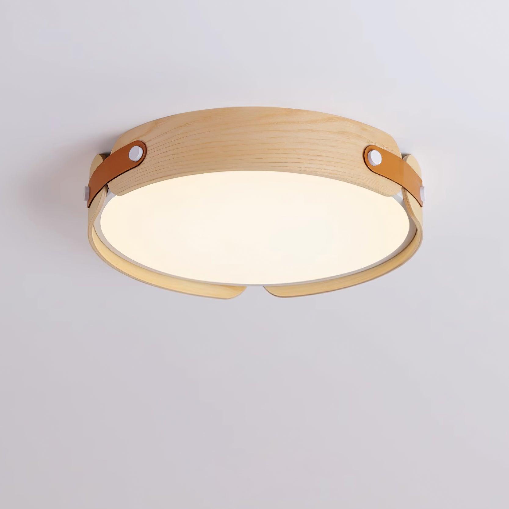 Renlenor Ceiling Light