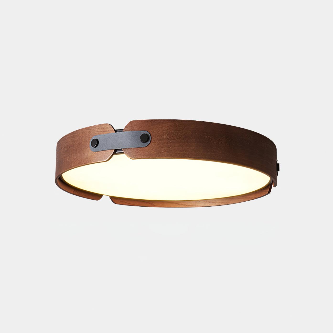 Renlenor Ceiling Light