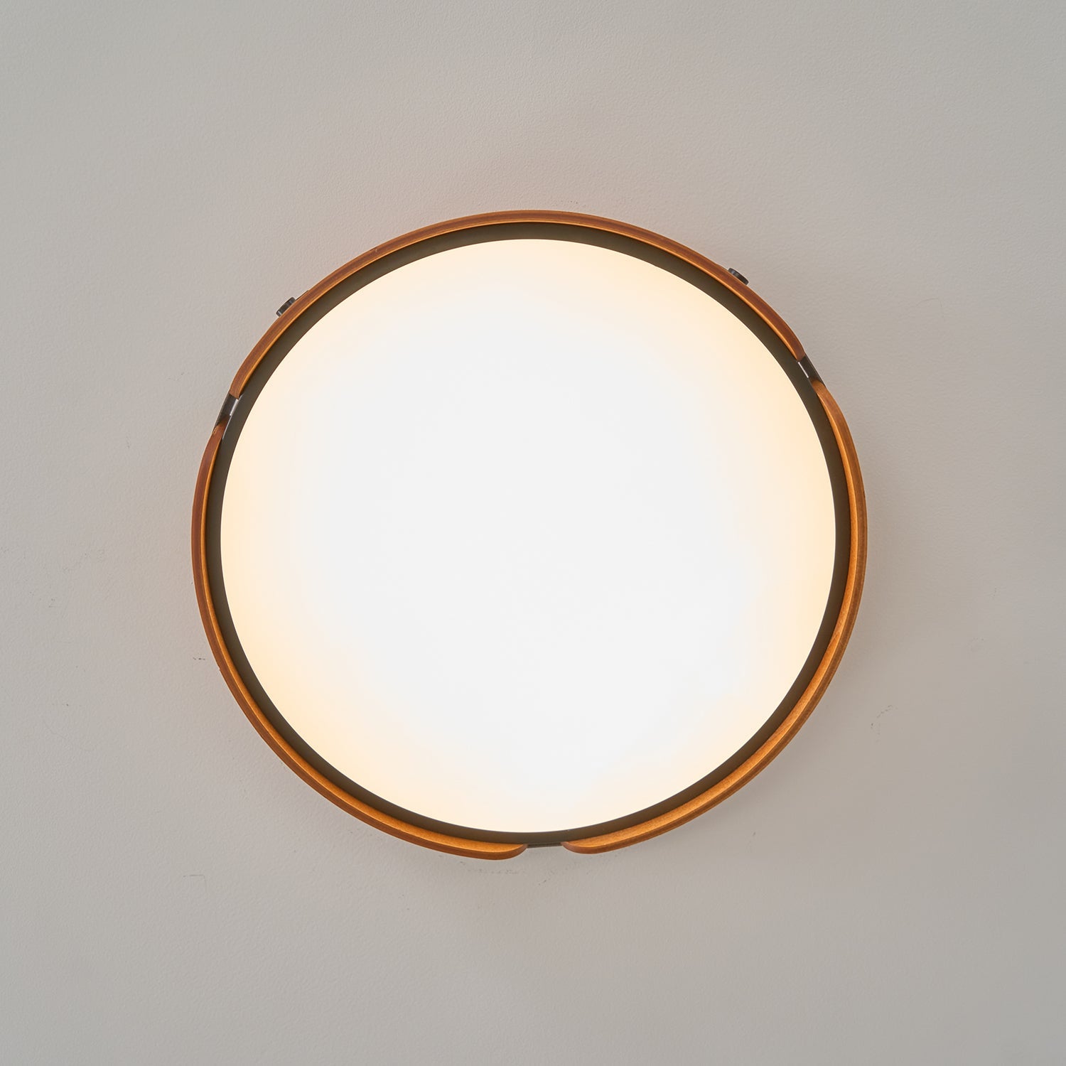 Renlenor Ceiling Light