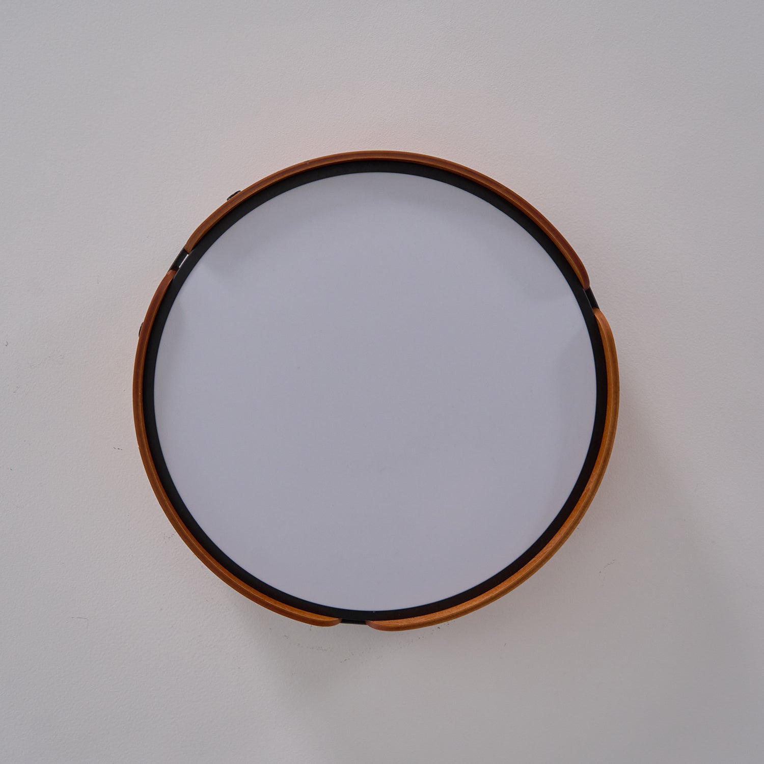 Renlenor Ceiling Light