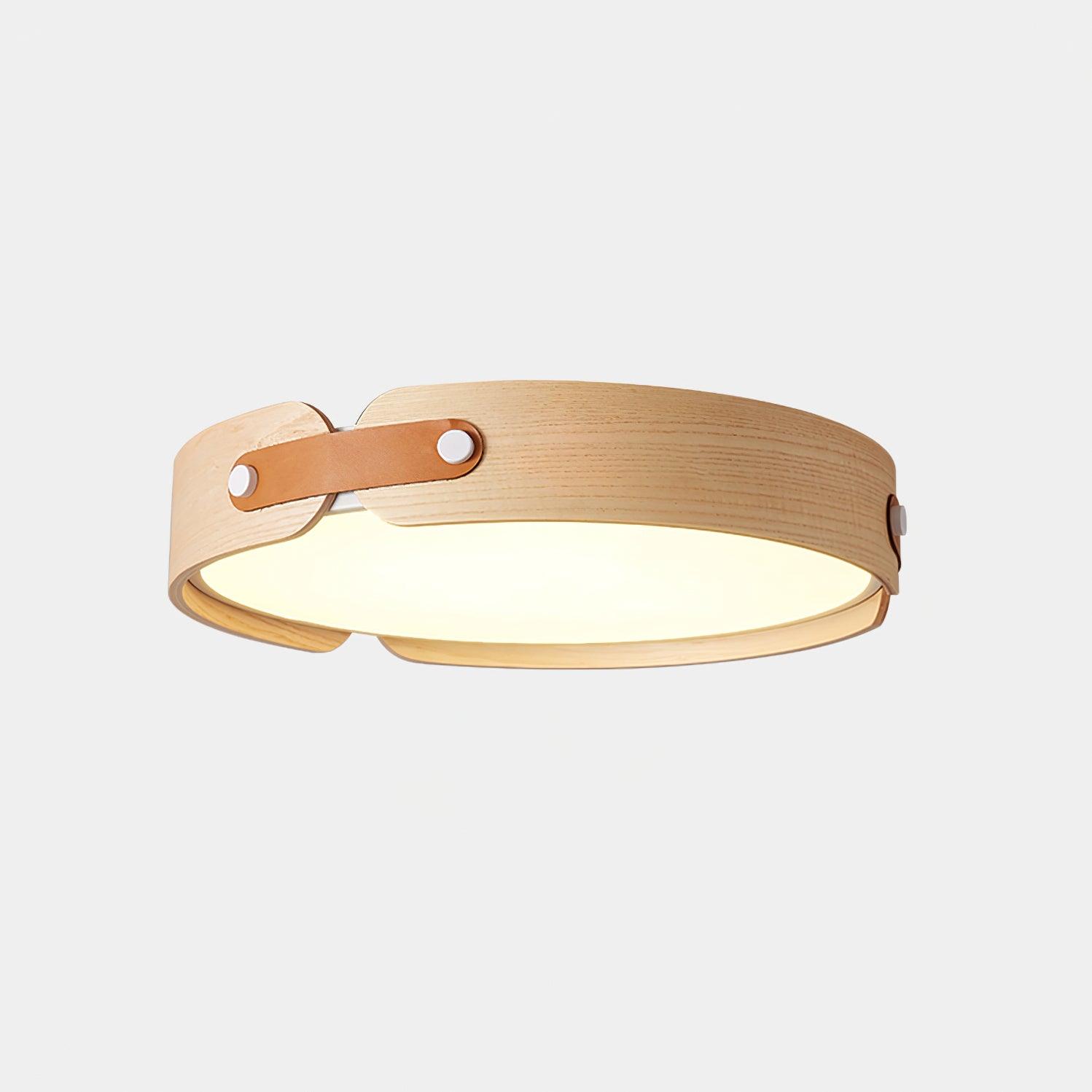 Renlenor Ceiling Light