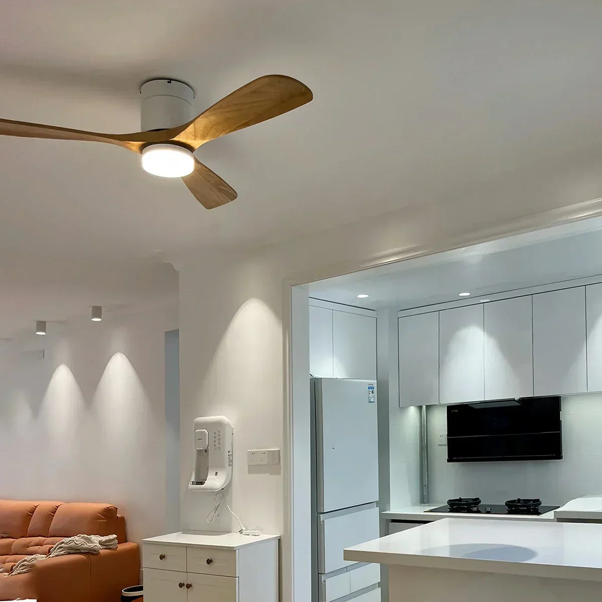 Larkey Ceiling Fan Light