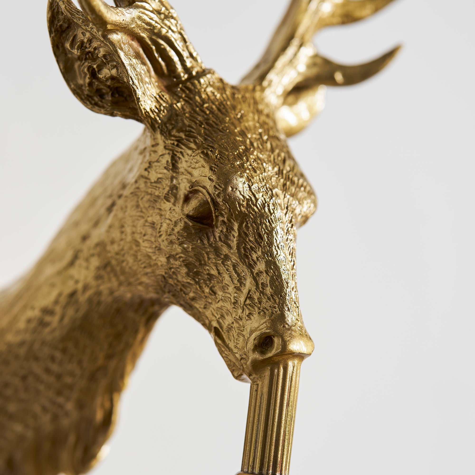 Toru Stag Wall Light