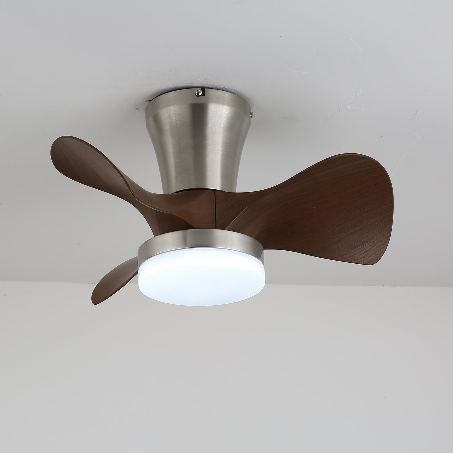 Quinas Ceiling Fan Light