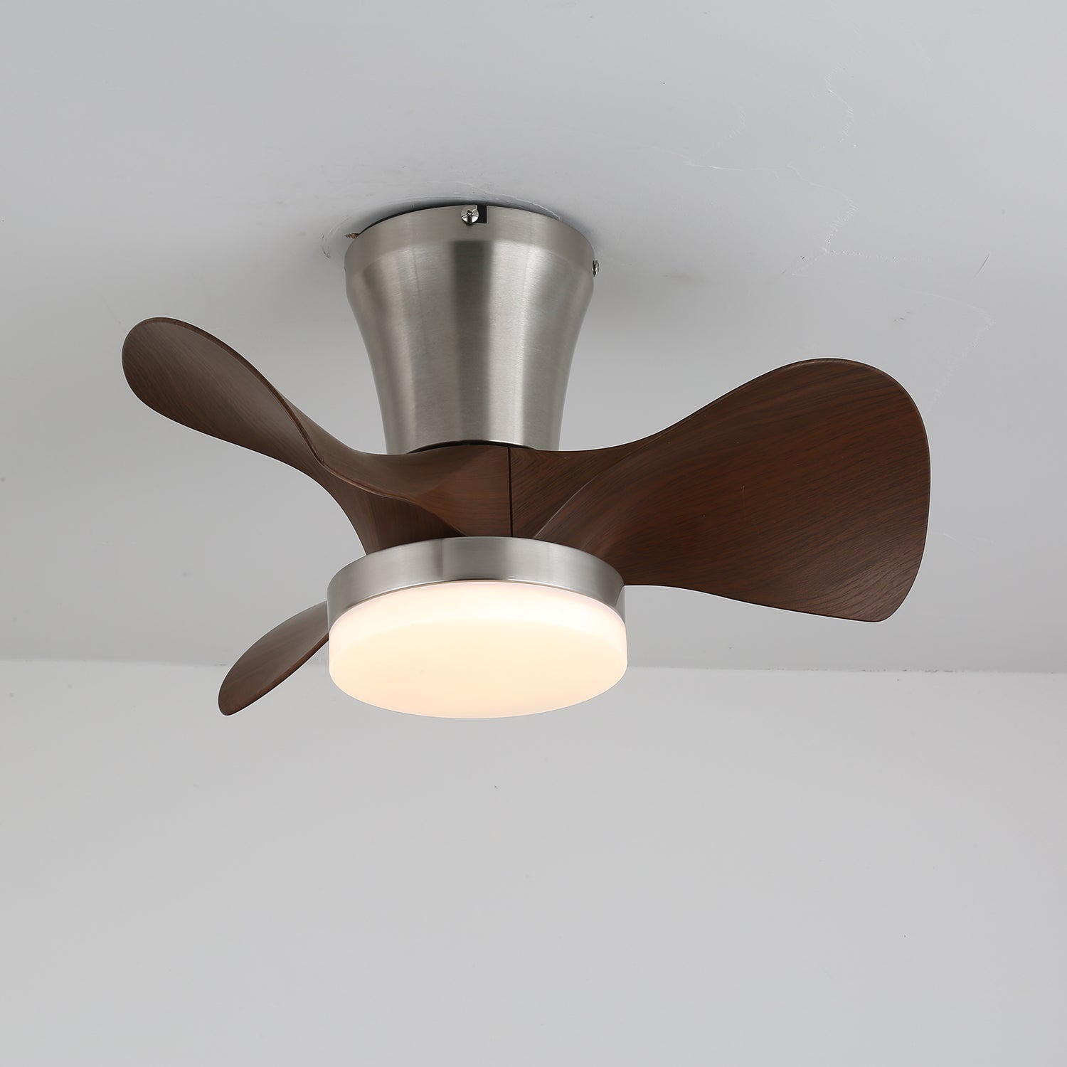 Quinas Ceiling Fan Light