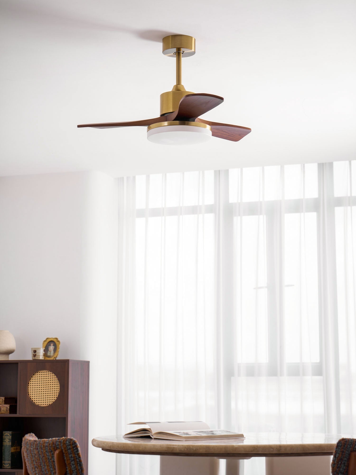 Virova Ceiling Fan Light
