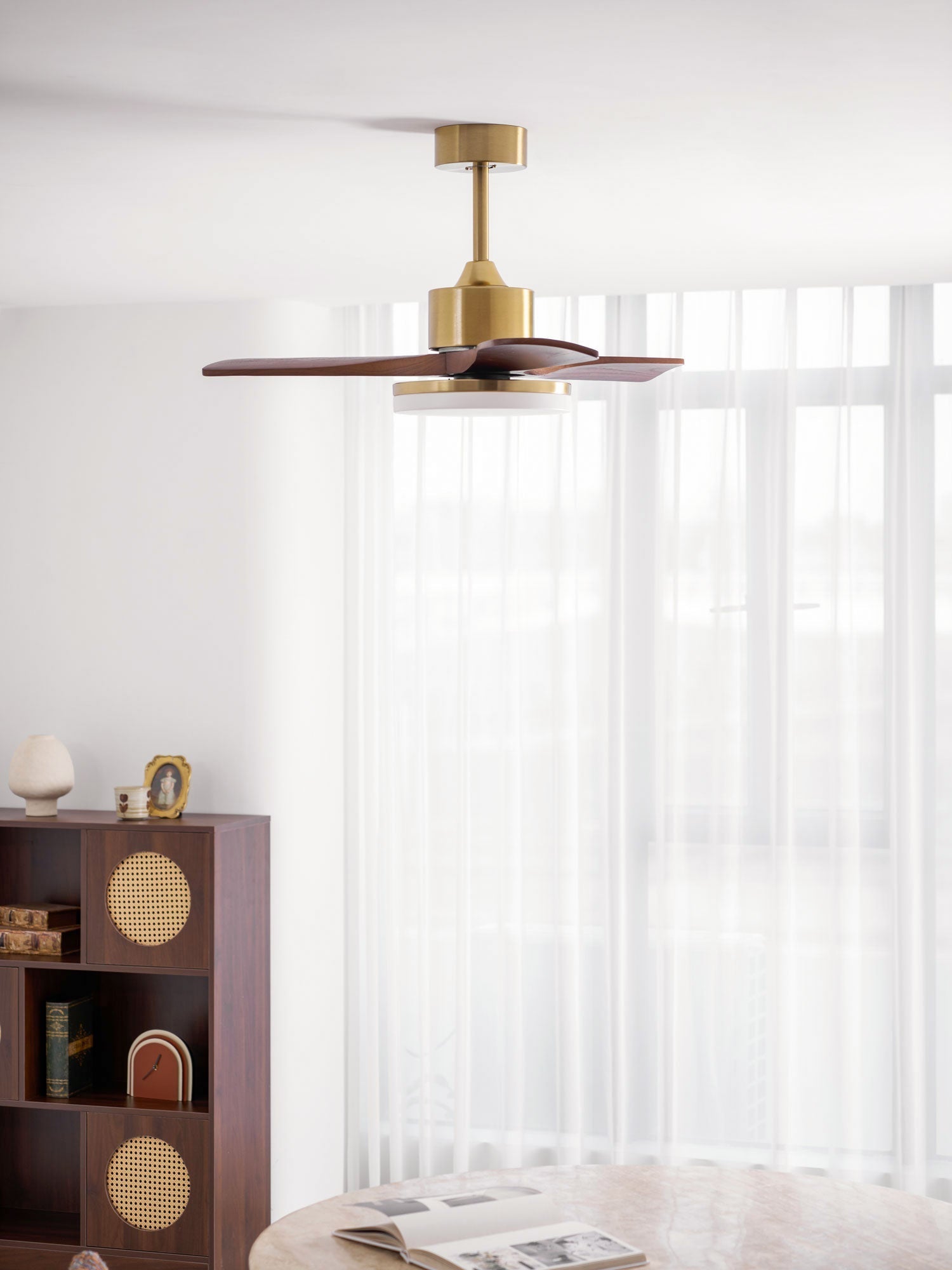 Virova Ceiling Fan Light