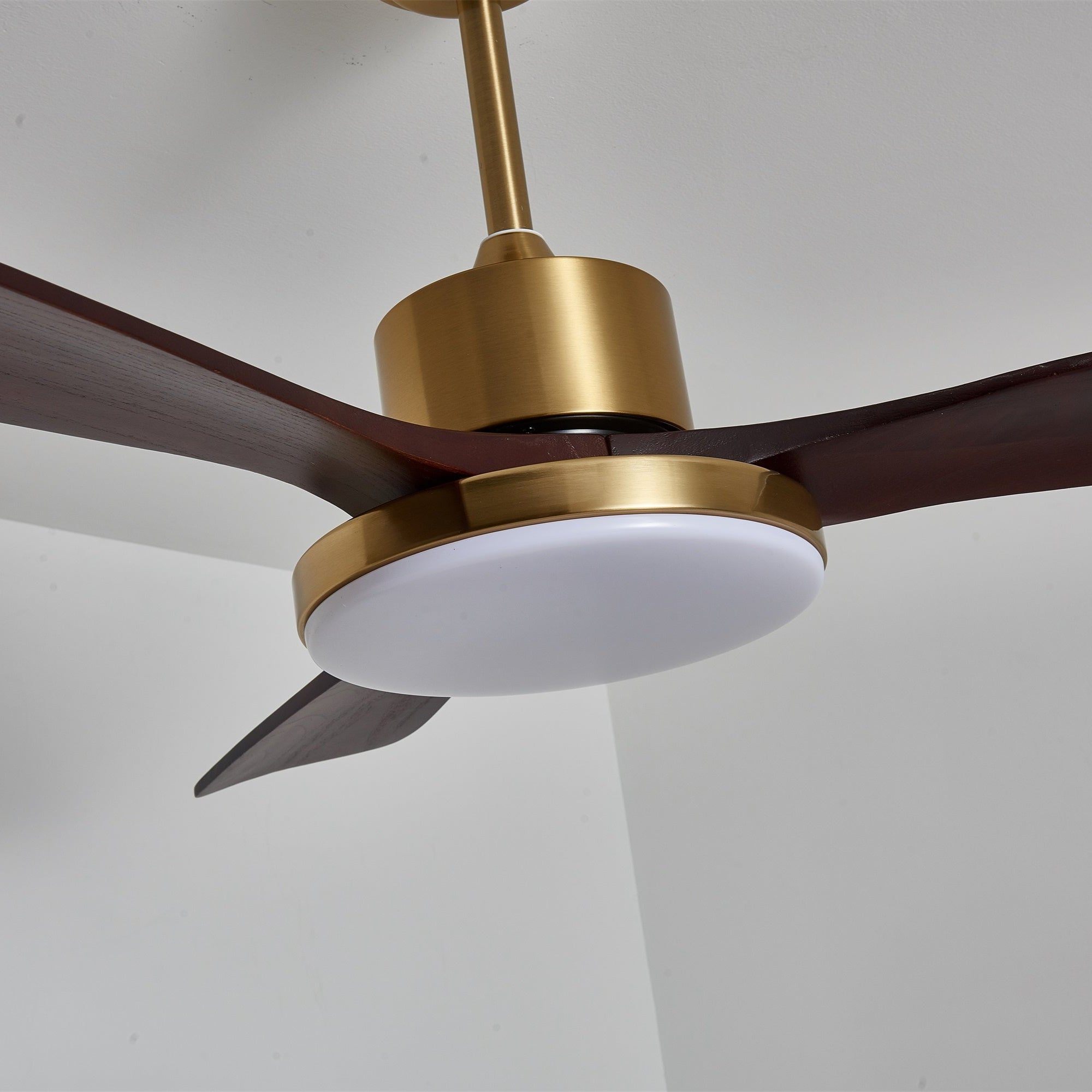 Virova Ceiling Fan Light