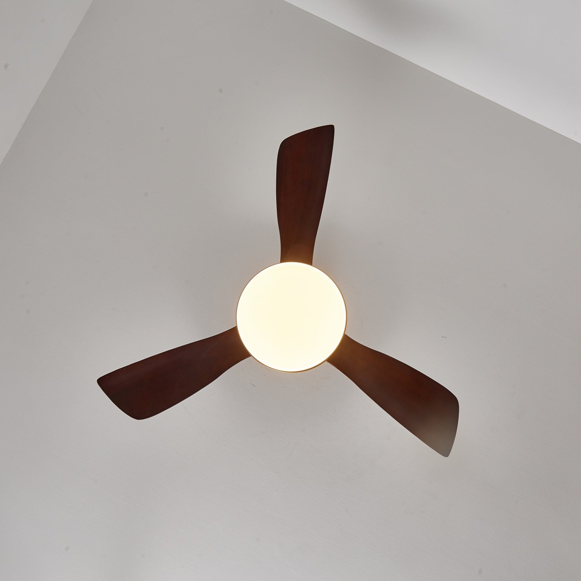 Virova Ceiling Fan Light