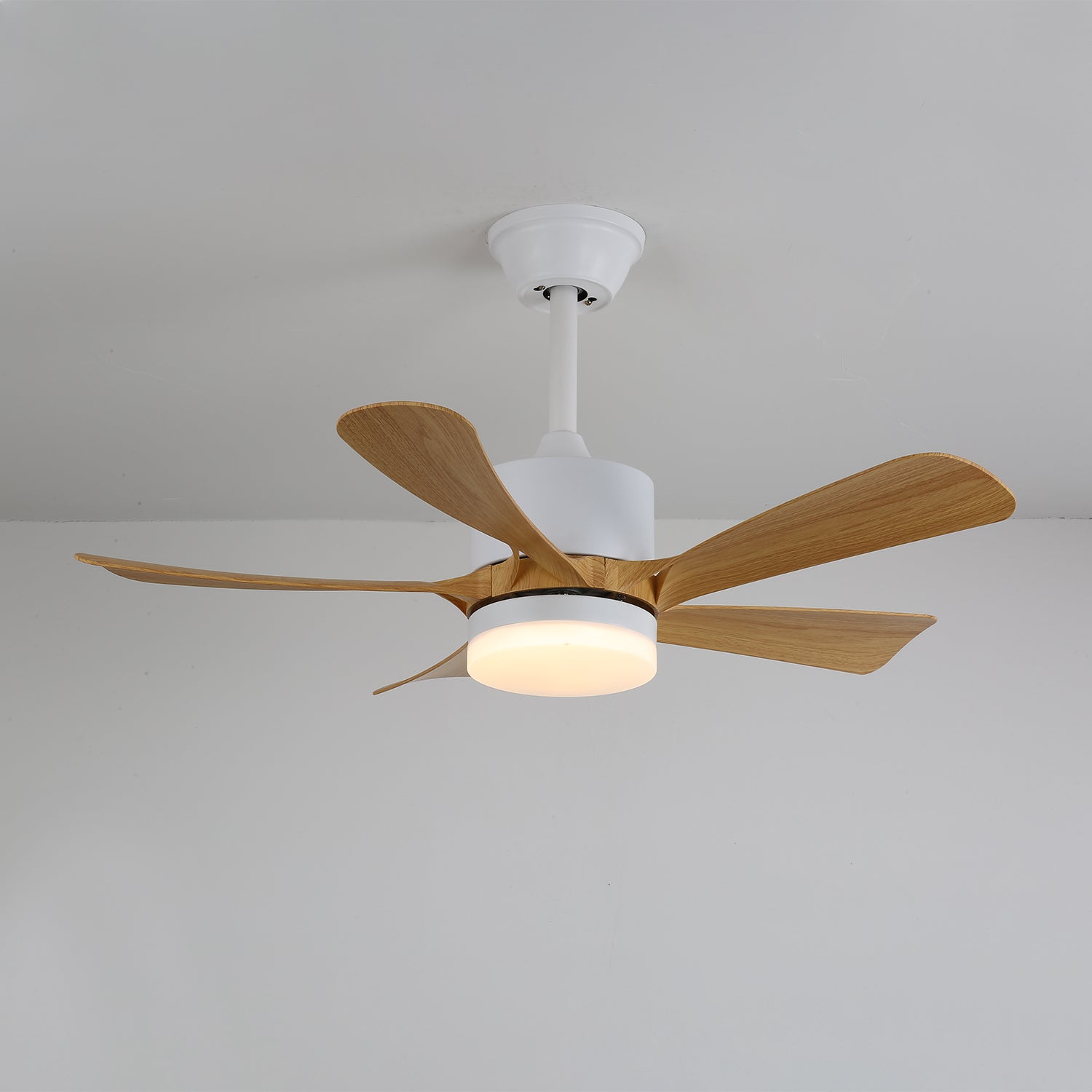 Axer Ceiling Fan Light