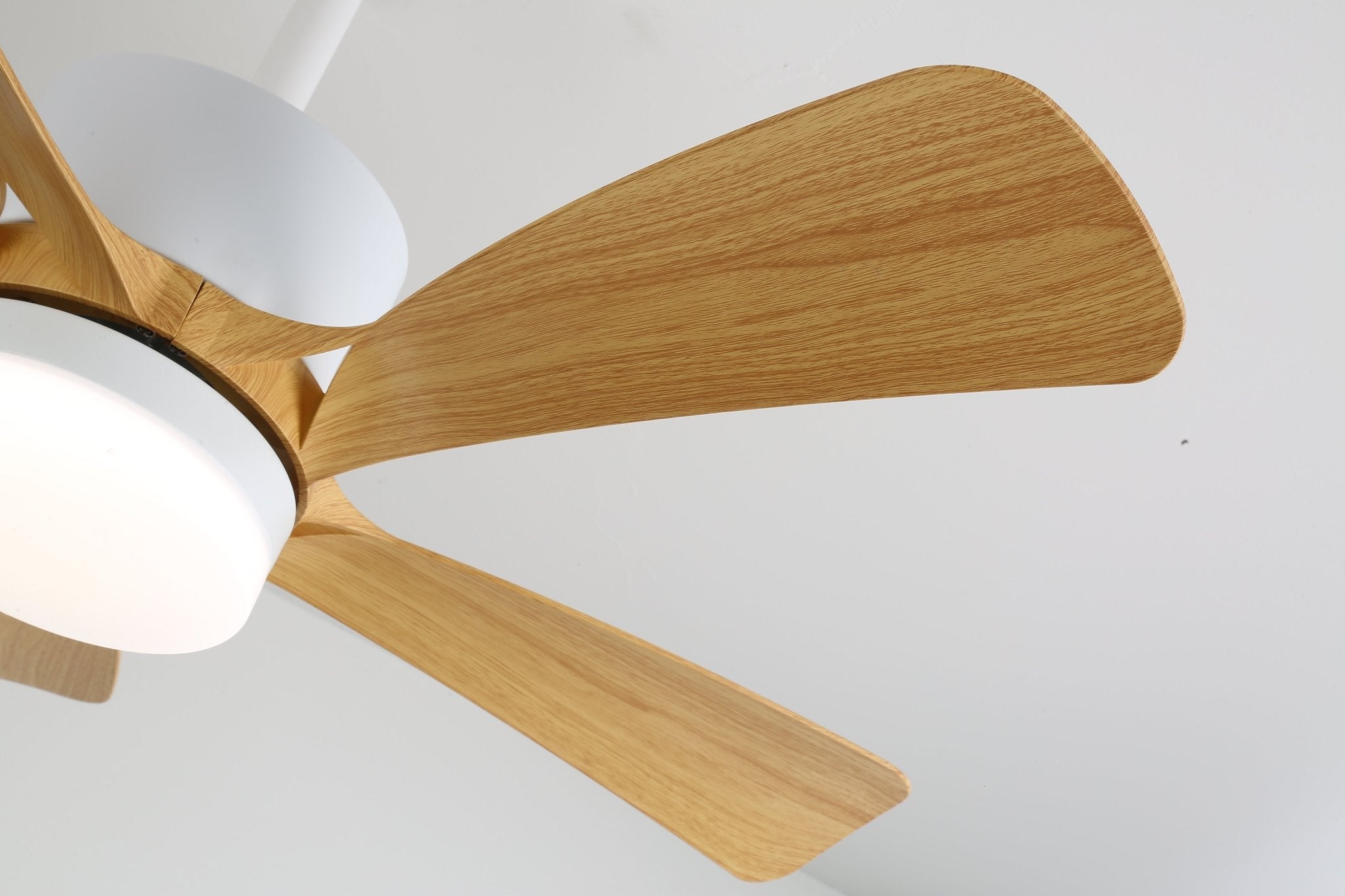 Axer Ceiling Fan Light
