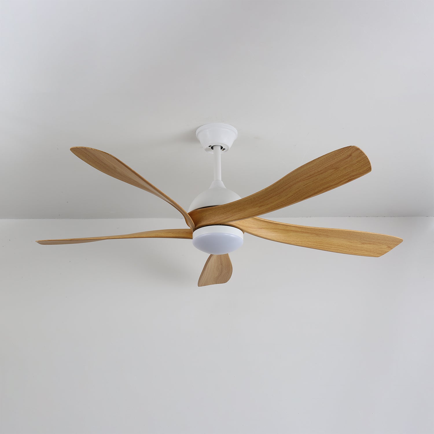 Axer Ceiling Fan Light