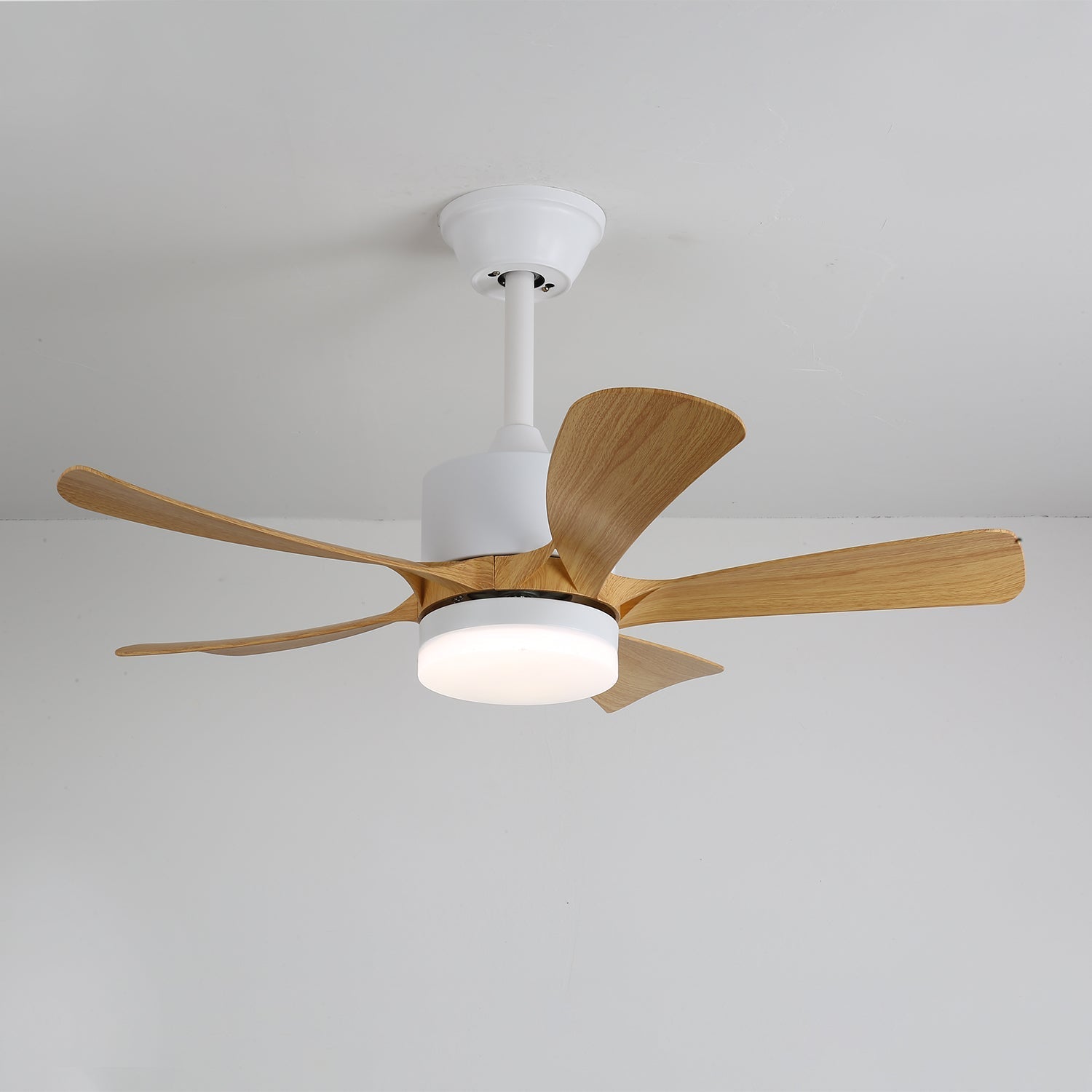 Axer Ceiling Fan Light