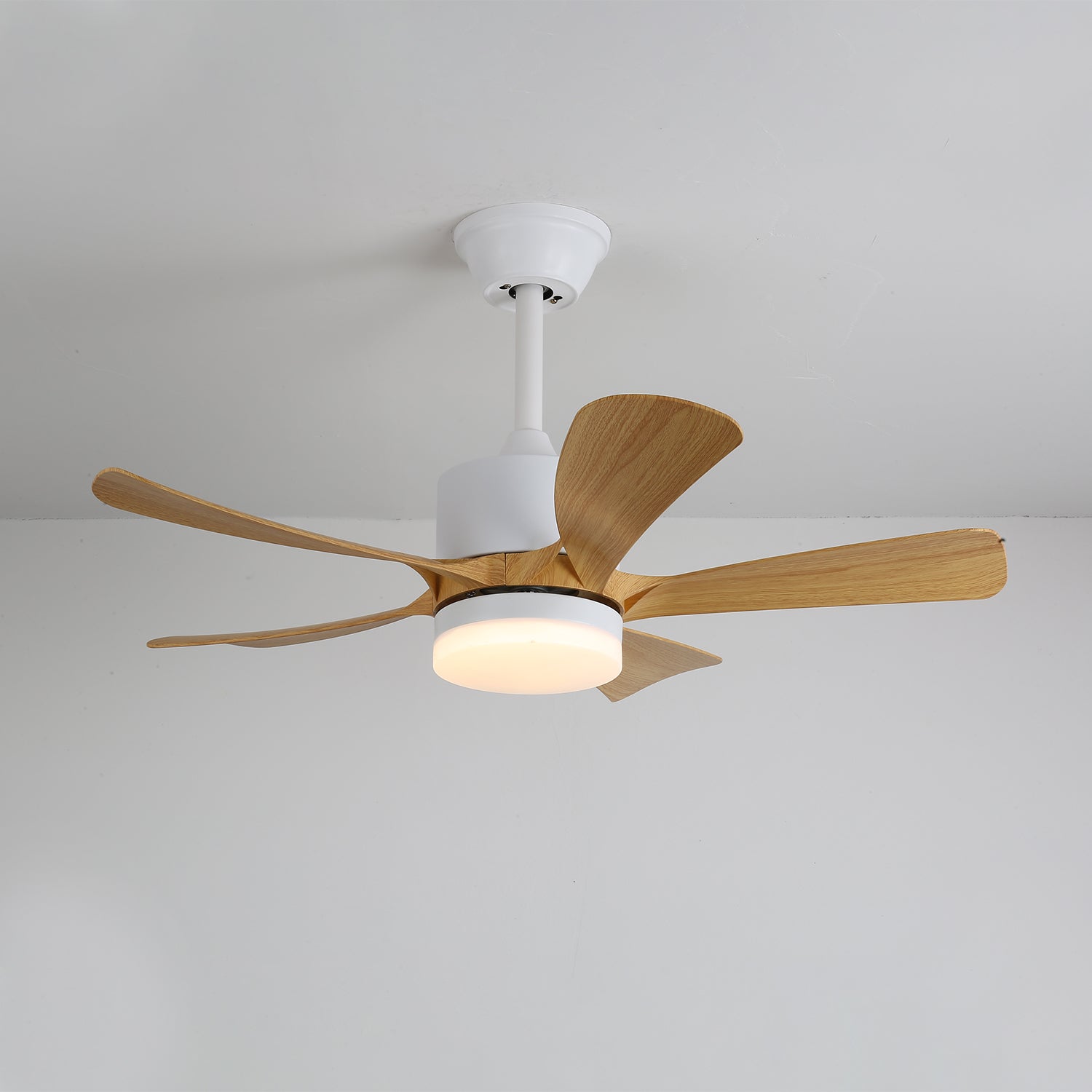 Axer Ceiling Fan Light
