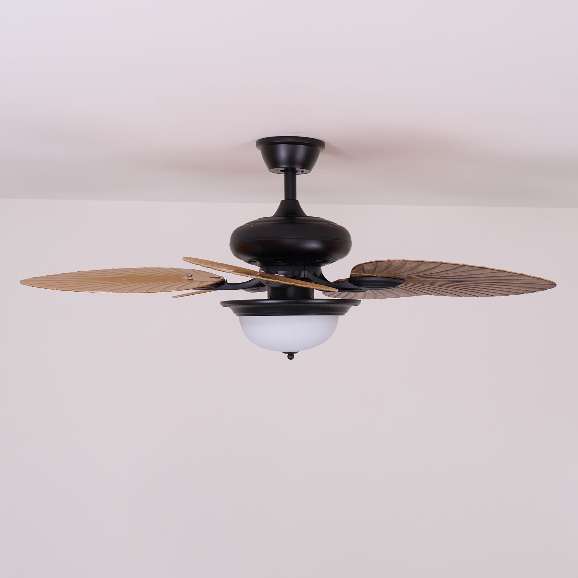 Jorlyn Ceiling Fan Light