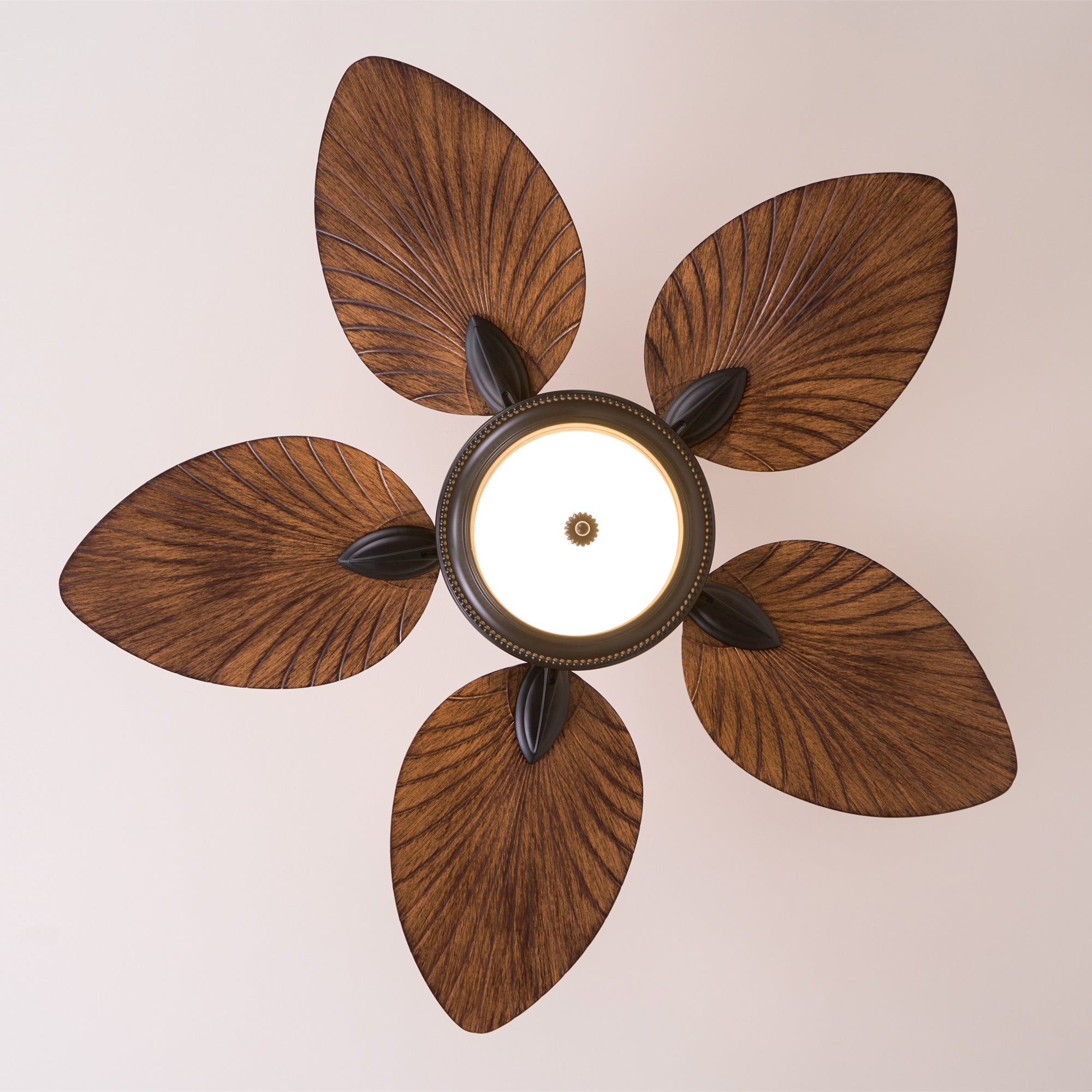 Jorlyn Ceiling Fan Light