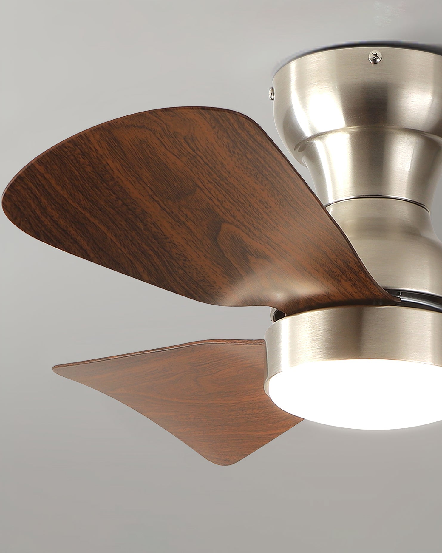 Mavana Ceiling Fan Light