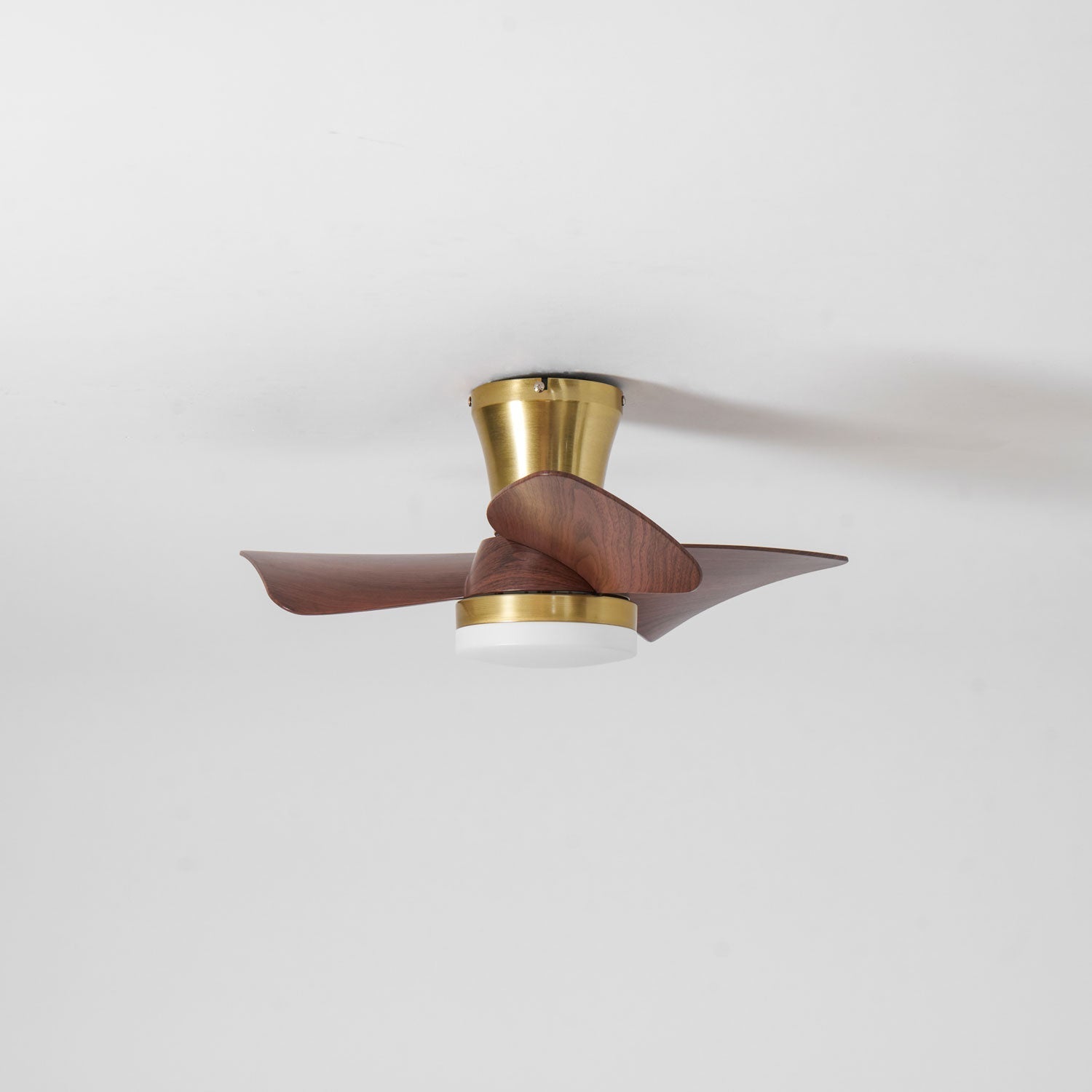 Elia LED Ceiling Fan Light