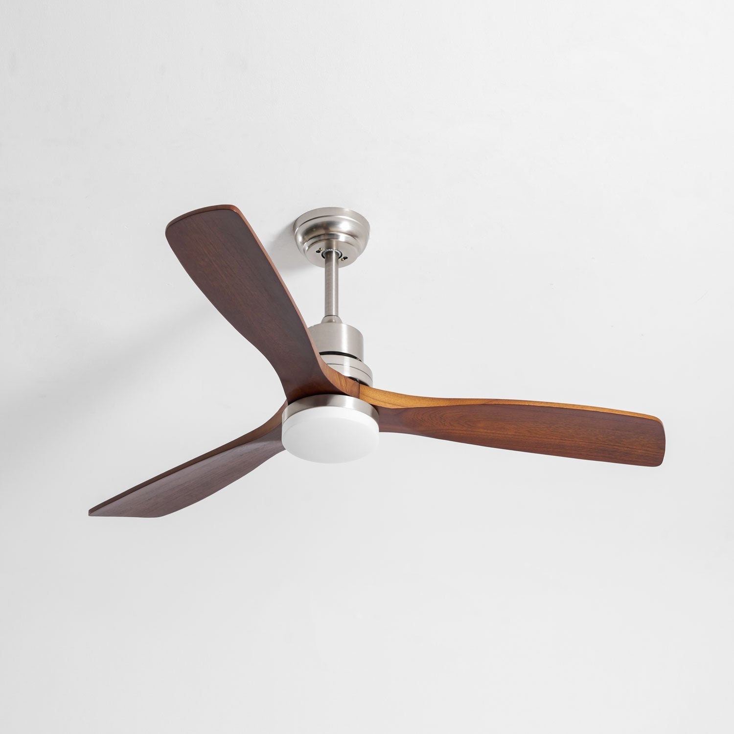 Camey Ceiling Fan Light