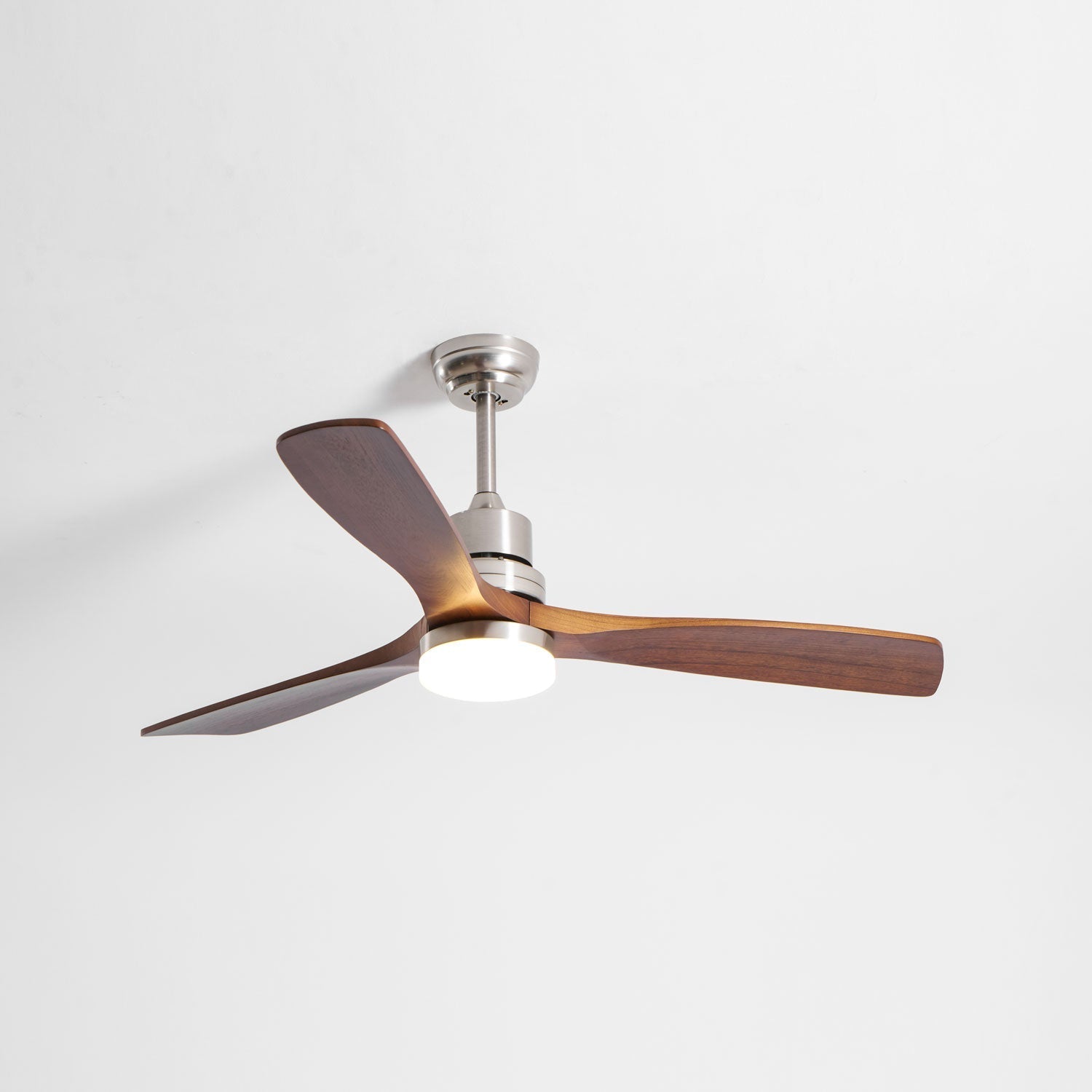 Camey Ceiling Fan Light