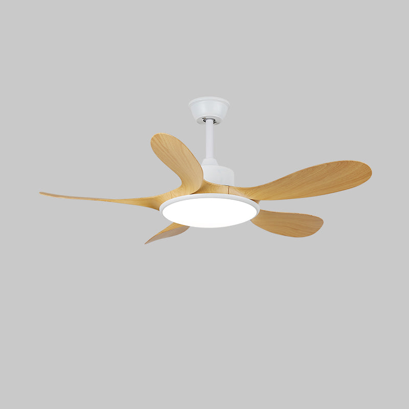 Darlenlo Ceiling Fan Light