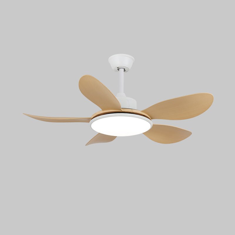 Darlenlo Ceiling Fan Light
