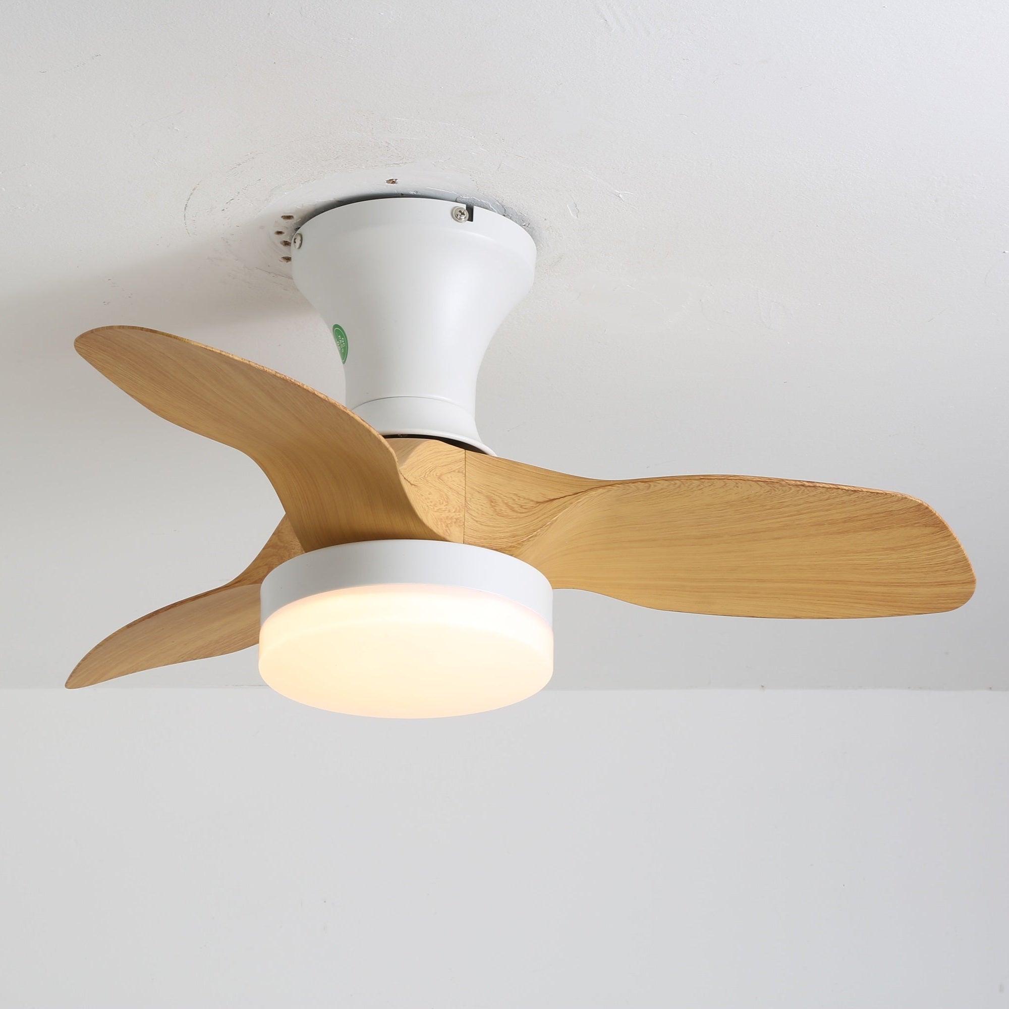 Darma Ceiling Fan Light