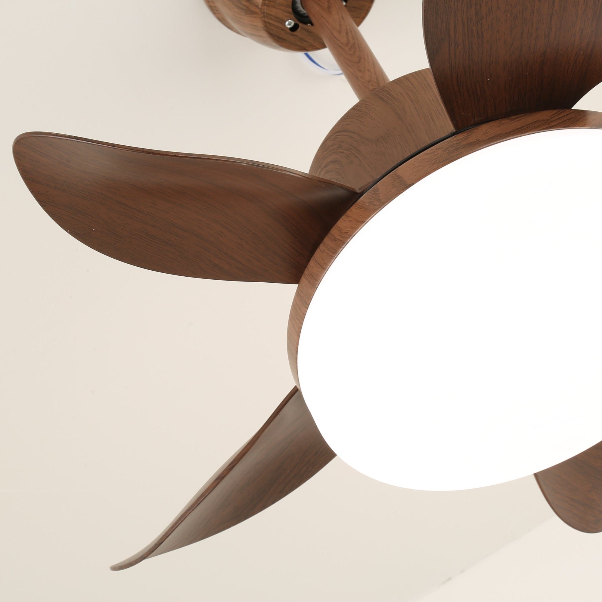 Evone Ceiling Fan Light