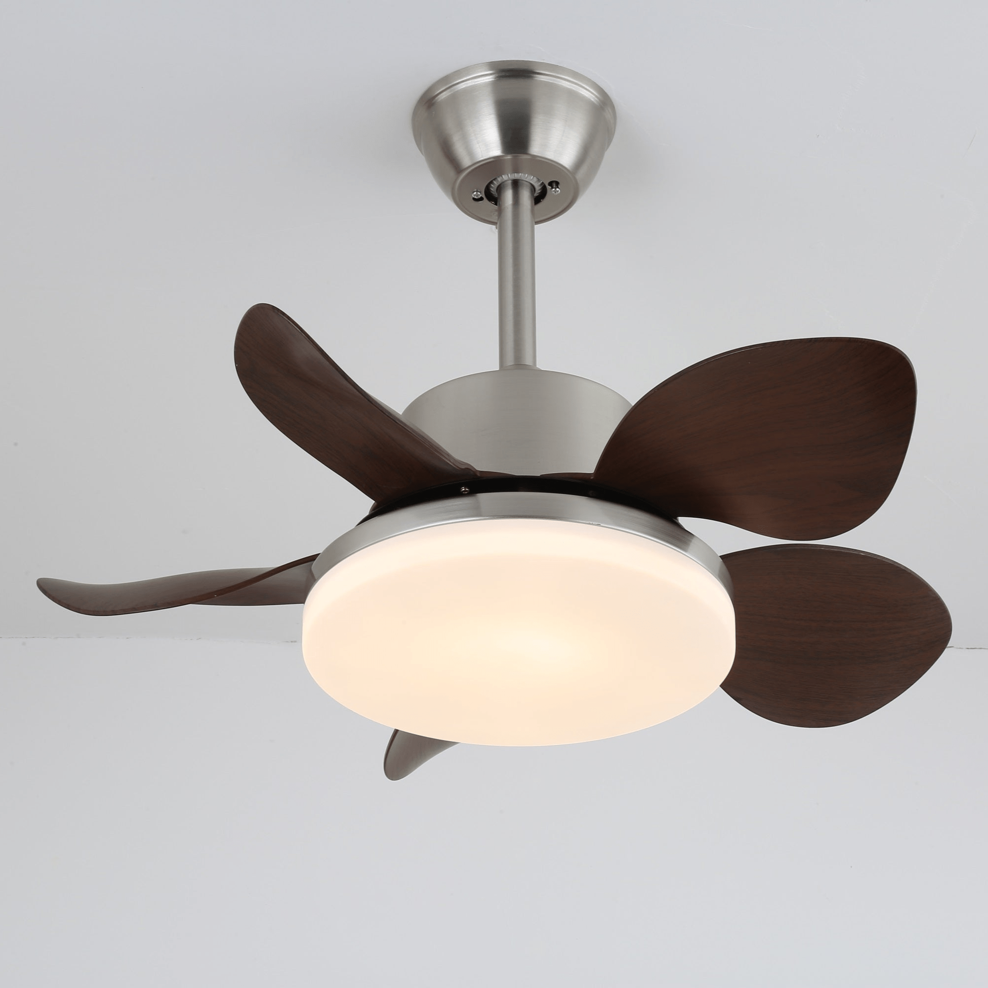 Evone Ceiling Fan Light