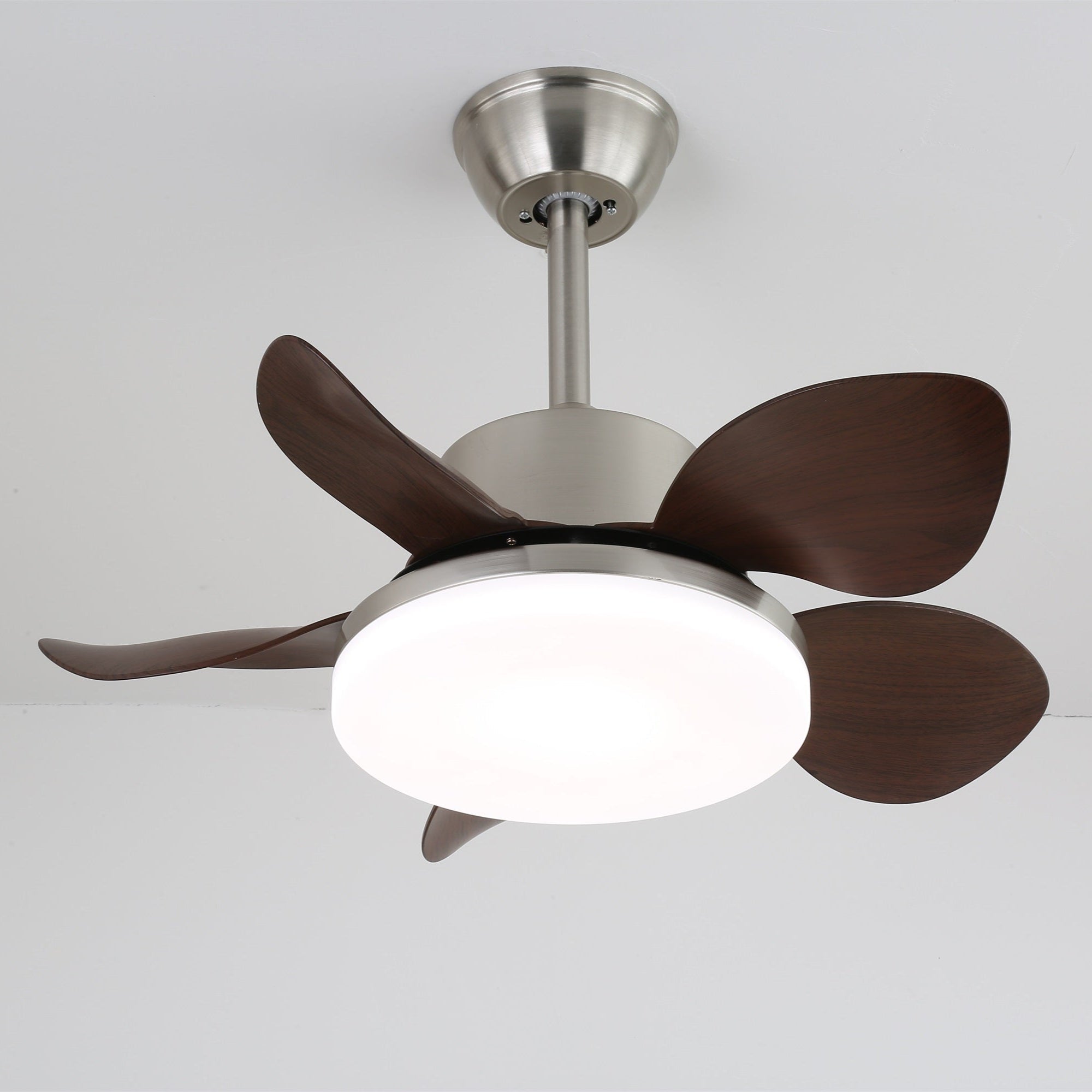 Evone Ceiling Fan Light