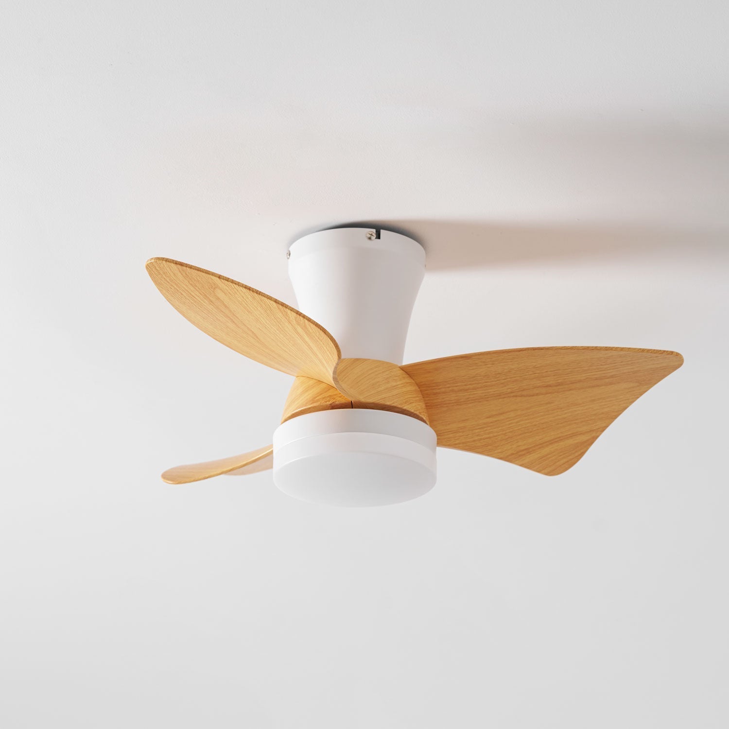 Toralay Ceiling Fan Light